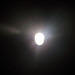 my moon 014